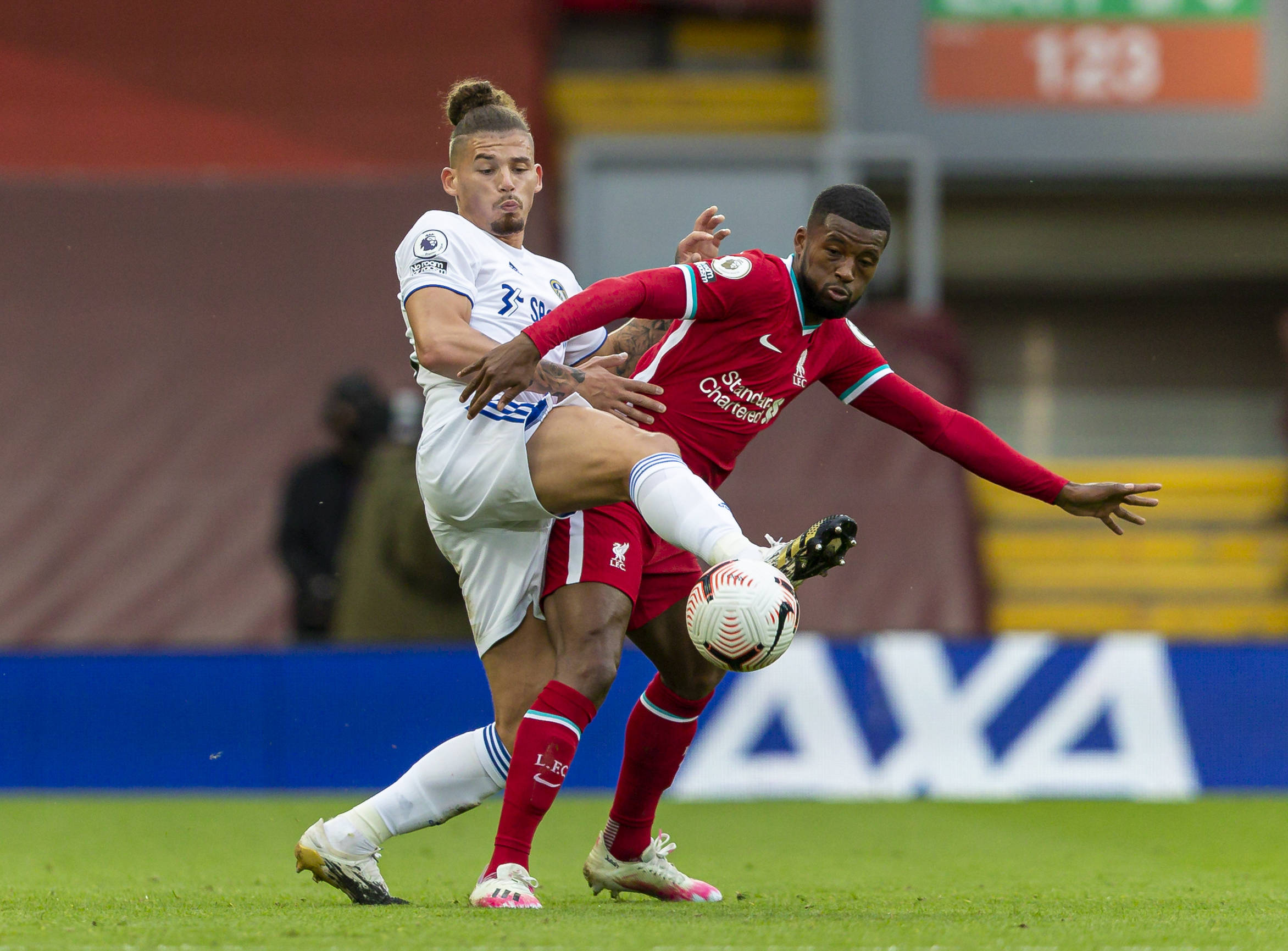 约内斯库 约内斯库